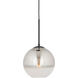 Callisto 1 Light 12 inch Black Pendant Ceiling Light