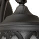 Signature 1 Light 17.75 inch Black Outdoor Wall Lantern