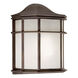 Signature Outdoor Wall Light in Antique Bronze