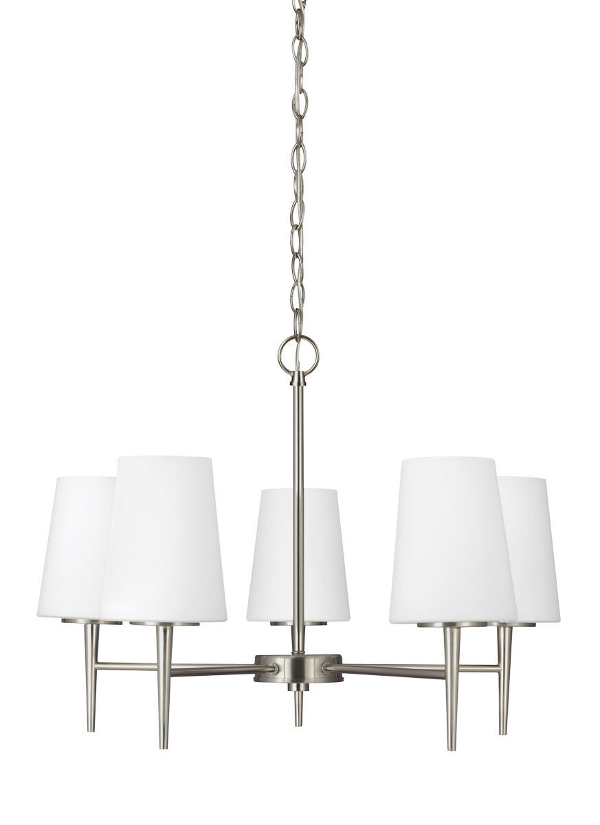 Driscoll 5 Light 25.25 inch Chandelier