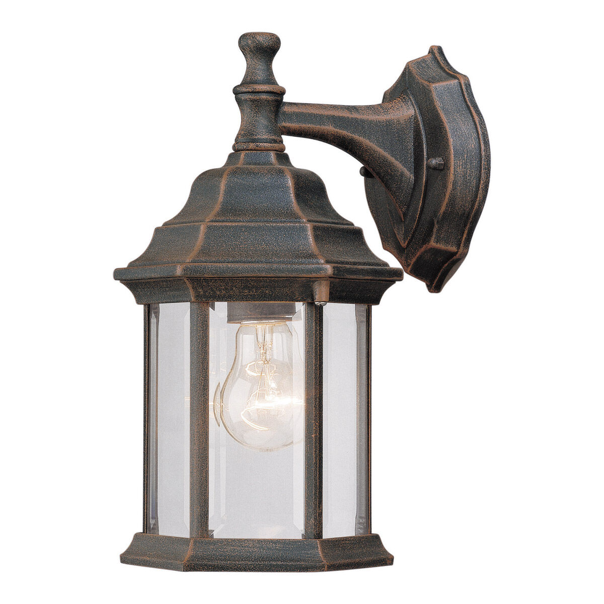 Signature 1 Light 12 inch Painted Rust Outdoor Wall Light