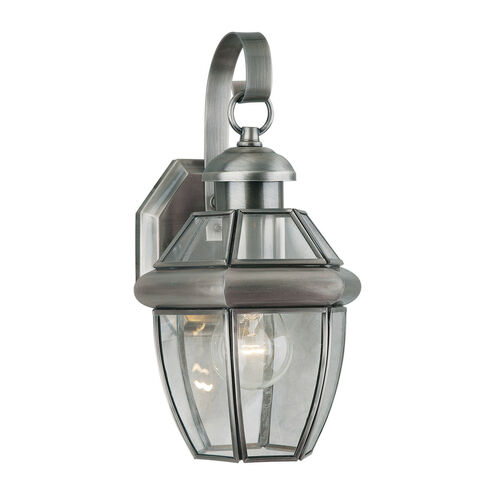 Signature 1 Light 12 inch Antique Pewter Outdoor Wall Light