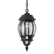 Outdoor Pendants / Chandeliers