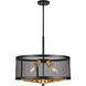 Takoma 4 Light 23 inch Black and Soft Gold Drum Pendant Ceiling Light