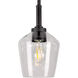 Chalice 1 Light 6 inch Black Pendant Ceiling Light