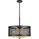 Takoma 3 Light 20 inch Black and Soft Gold Drum Pendant Ceiling Light