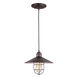 Signature 1 Light 10 inch Antique Bronze Mini Pendant Ceiling Light