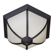 Outdoor Ceiling Lights