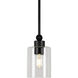 Jayden 1 Light 5 inch Black Pendant Ceiling Light