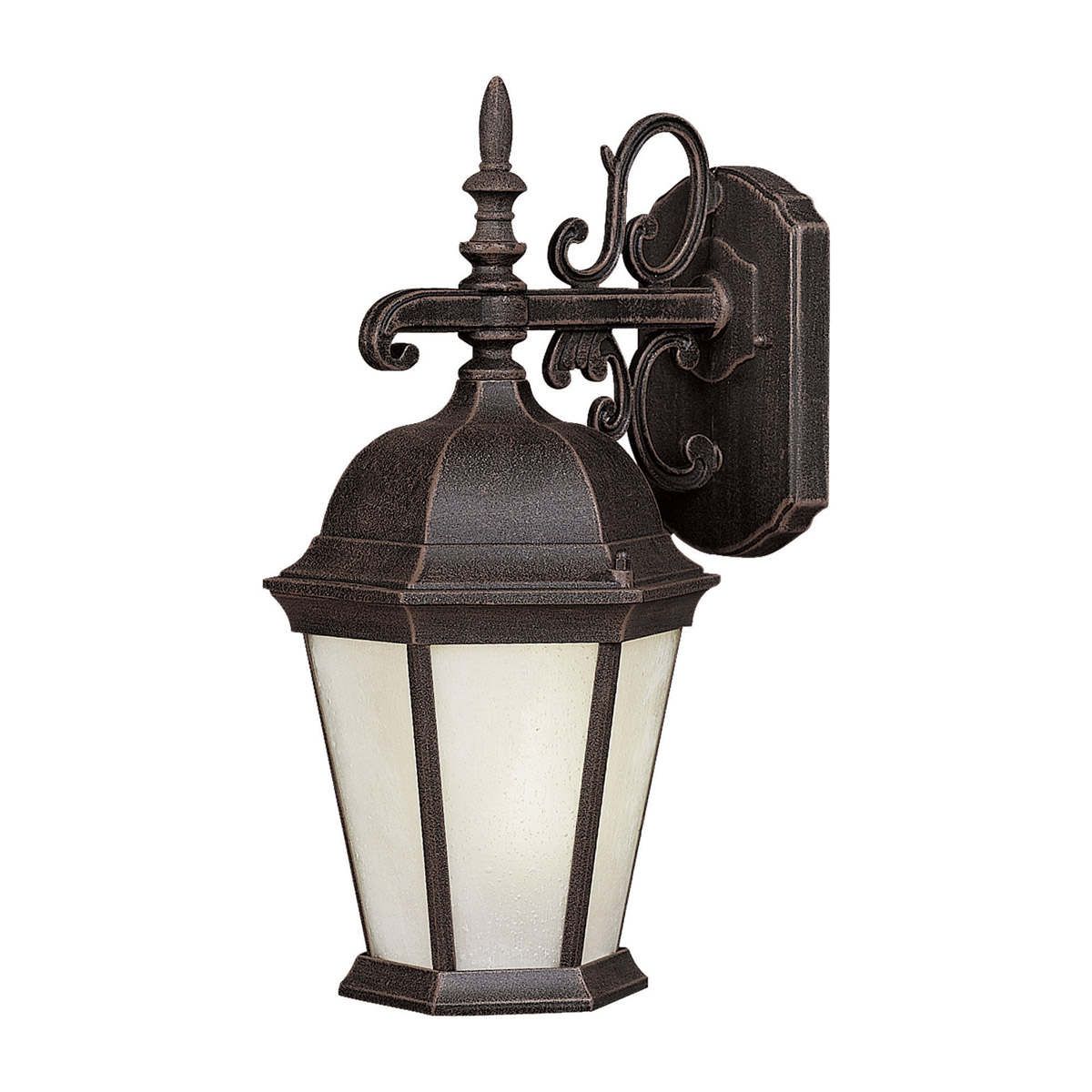 Signature 1 Light 18.25 inch Painted Rust Outdoor Wall Light